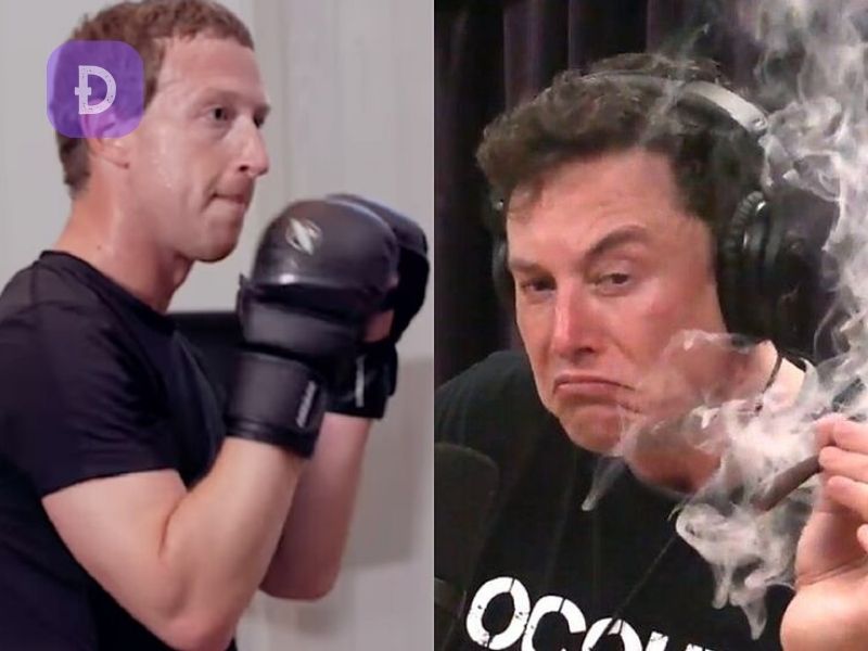Zuckerbeg đấu võ với Musk